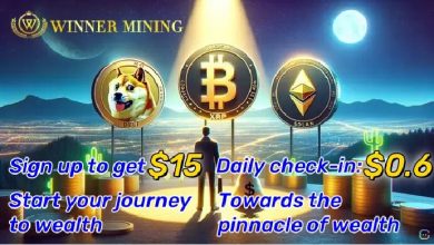 convert-your-btc,-eth-and-doge-into-daily-income-with-winnermining
