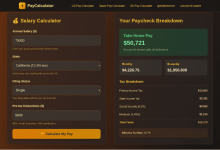 us-federal-tax-calculator:-how-much-tax-do-you-pay-from-your-salary-in-2025?